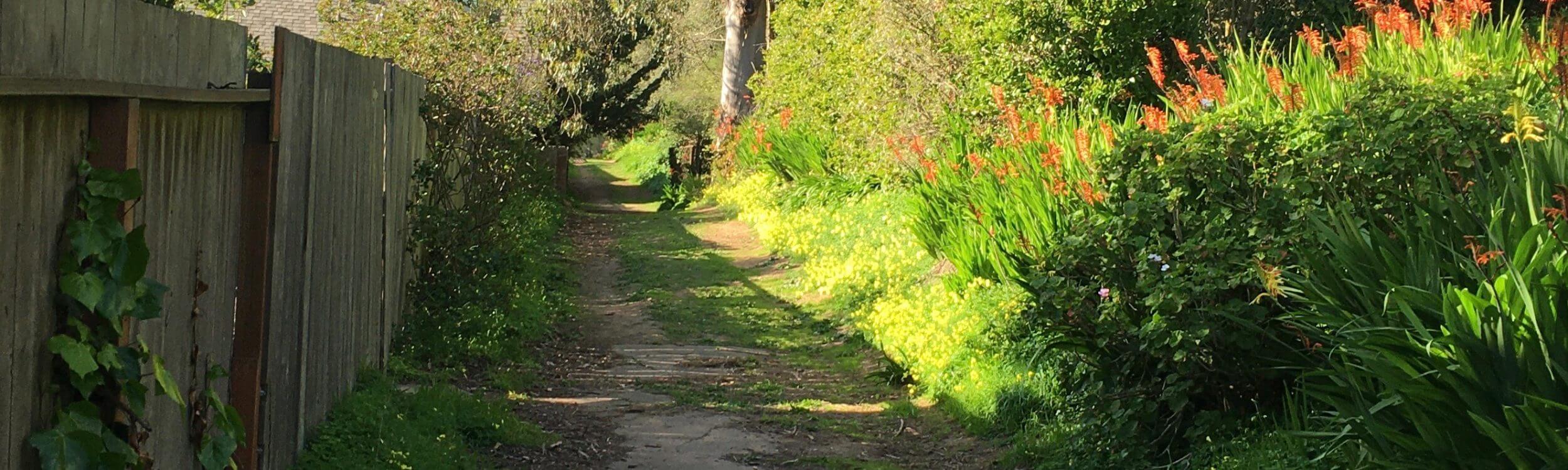 13 unpaved roads and alleys to walk in San Francisco