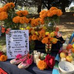 Our first altar at Dia de los Muertos honored the 16 pedestrians killed so far in 2023