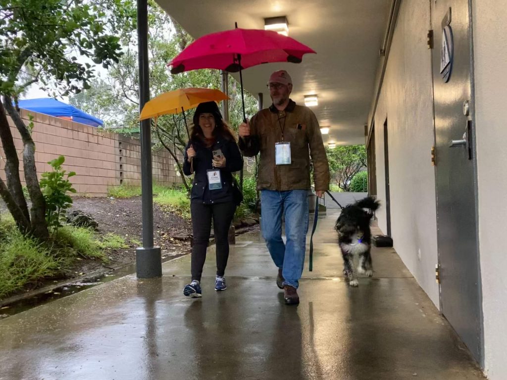 Two individuals touting umbrellas walk down a covered corridor with a dog.
