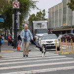 Thanking longtime members: proud pedestrian activist Fran Taylor