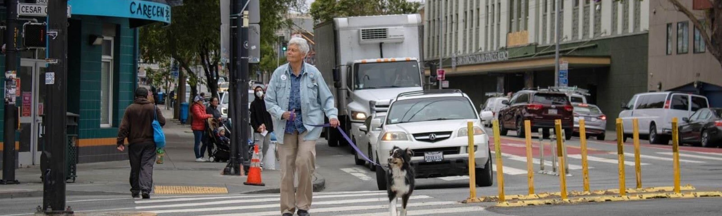 Thanking longtime members: proud pedestrian activist Fran Taylor