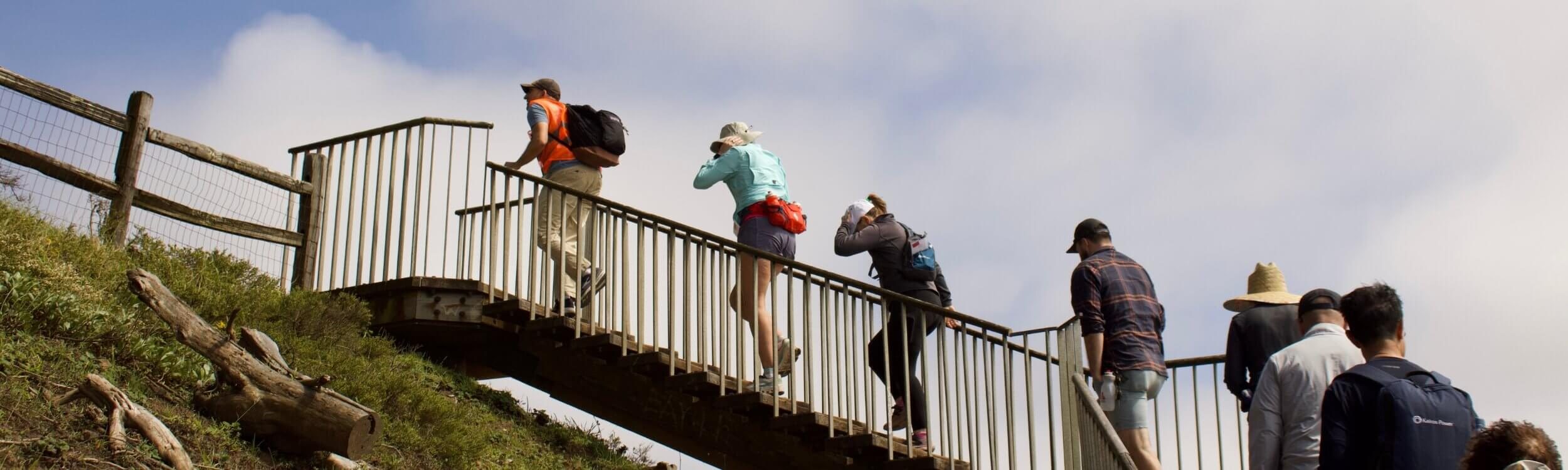 Peak2Peak 2025: Cheers to 21 years of exploring San Francisco (PHOTOS!)